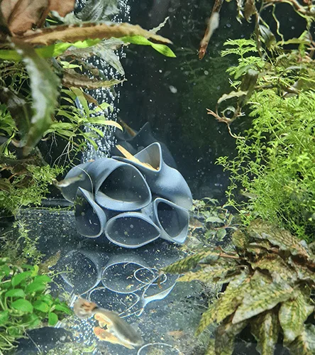 A uniquely designed 3D-printed aquarium decor, this fish hotel offers multiple hiding spots for fish and shrimp. Created using 3D printing for aquariums, it showcases how you can design and print custom aquarium accessories to personalize your fish tank.