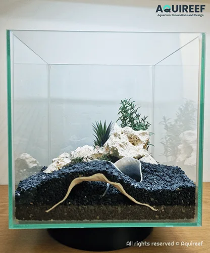 A 3D-printed fish cave designed for aquariums, created using 3D printing for aquariums. This custom aquarium accessory enhances aquascaping and provides a natural shelter for fish and shrimp. Learn how to design and print custom aquarium accessories with 3D printing.