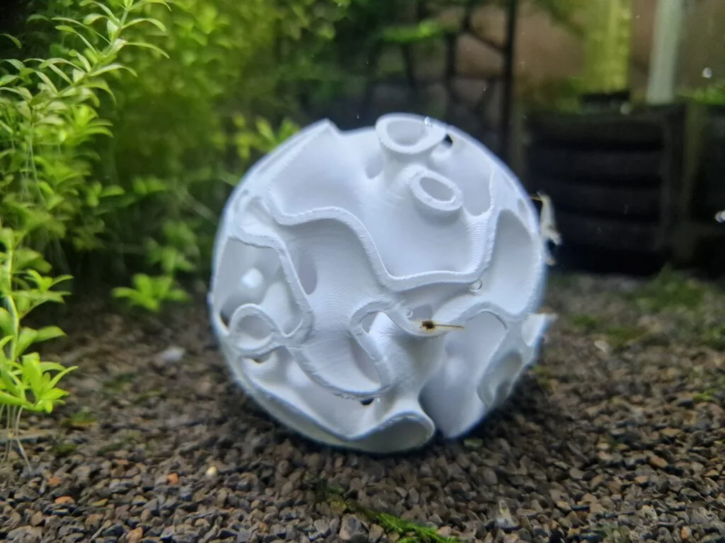 A gyroid shrimp sphere in shrimp tank. A design and 3d print by Aquireef.
