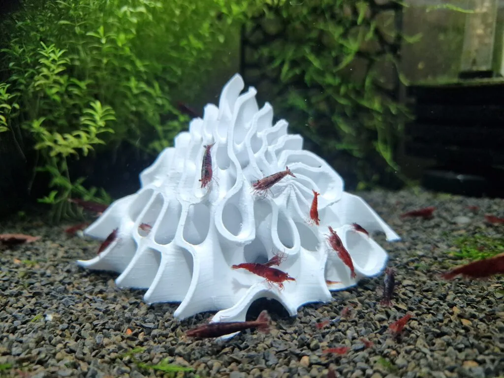 Aquireef3D Custom Print Blog showcasing the 20250118 173616 min 1
