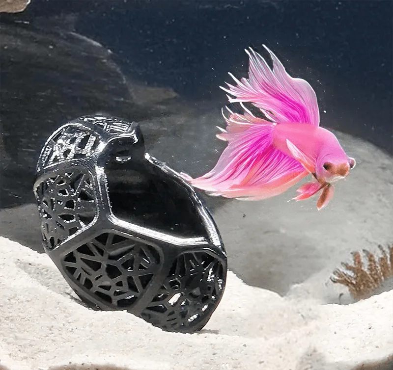 Betta fish dragon egg style 3d print cave with a small betta fish exploring surroundings. Voronoi design helps save the filament and provides a perfect suit for bettas. A design by Aquireef.
