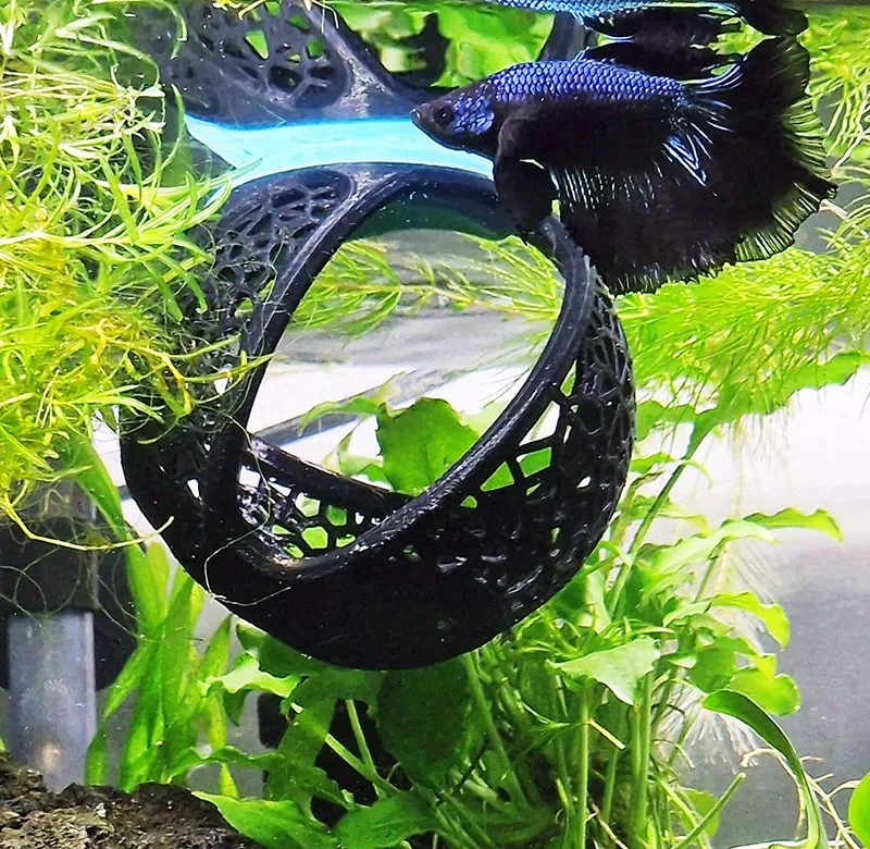Aquireef Custom Print Blog showcasing the Betta Hammock Cave by Aquireef min