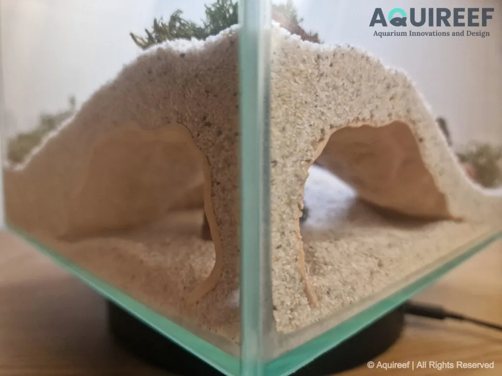 Aquireef Custom Print Blog showcasing the Riptide aquarium terrarium fish hide cave decoration 2 min