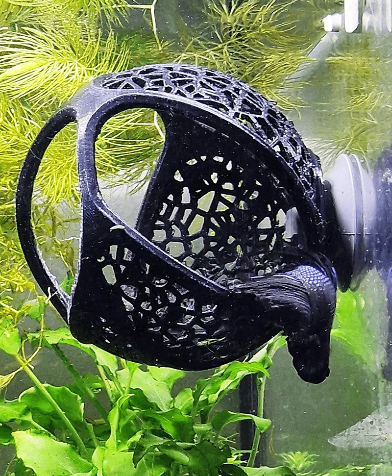 A sleeping betta fish inside a 3d printed cave. Designed by Aquireef this voronoi style betta hammock cave provides a cozy and safe rest place for bettas.