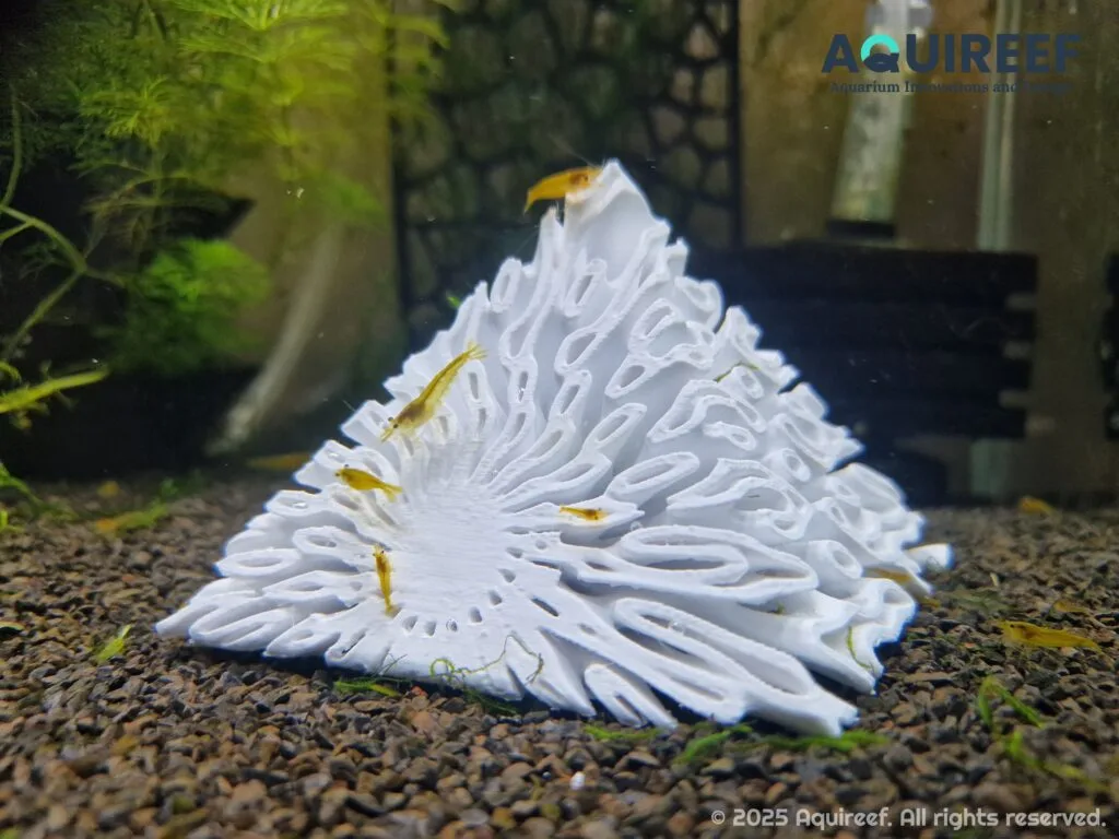 A gyroid shrimp pyramid cave in shrimp tank. A design and 3d print by Aquireef.