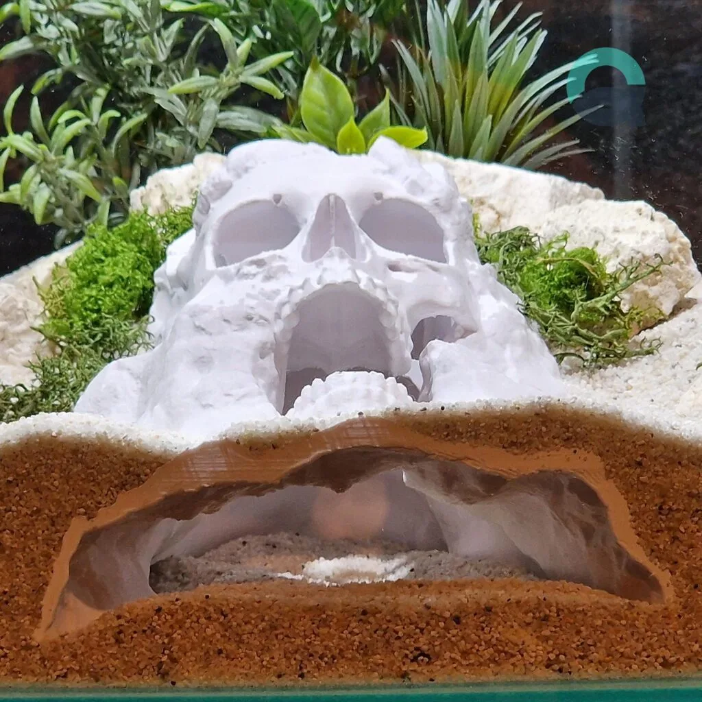 Aquireef3D Custom Print Blog showcasing the il fullxfull.6933122391 cn6d