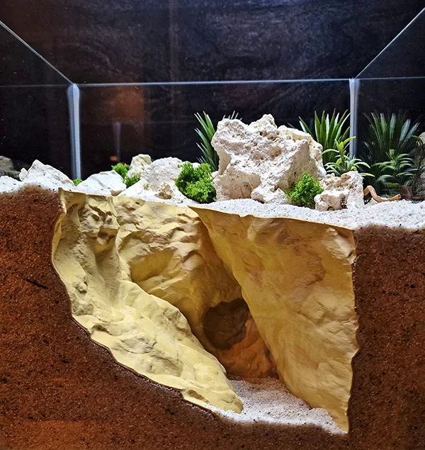 Aquarium and Terrarium 3D Print Designs Collection - the Grand Canyon Cave by Aquireef