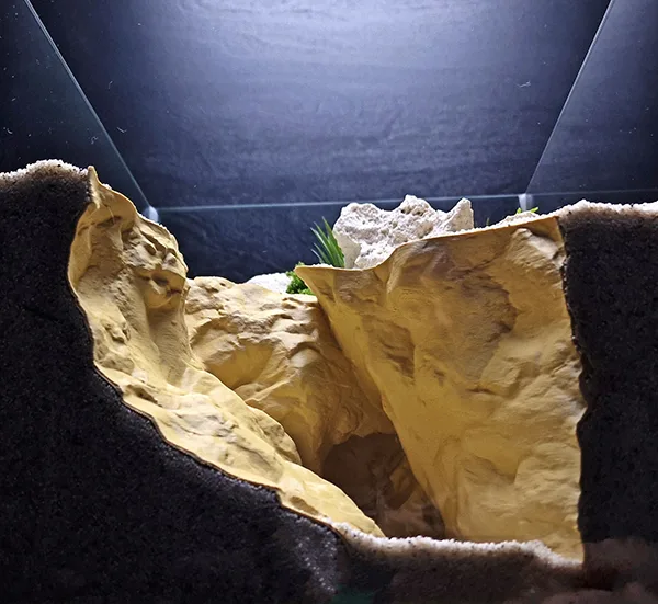 Aquarium and Terrarium 3D Print Designs Collection - the Grand Canyon Cave by Aquireef