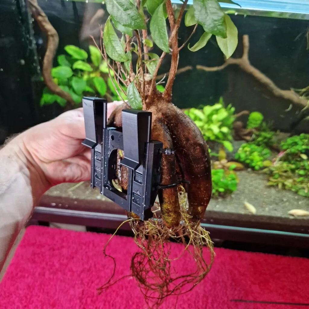 3d print plant holder with a tree attached to it ready to be put into aquarium