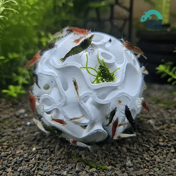 The shrimp shelters series - a creation by Aquireef to help aquarium shrimps hide, breed and explore.
