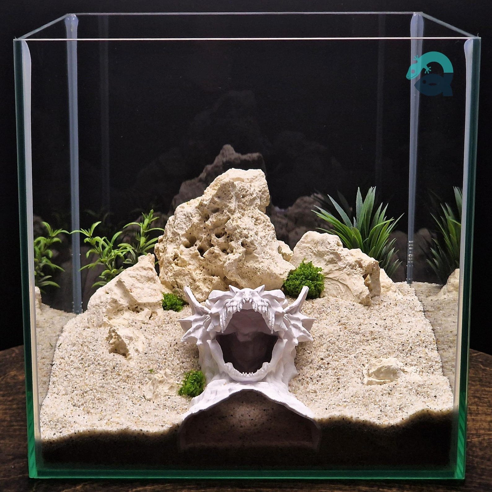 Dragon Cliff - Dragon Skull Aquarium Cave, Fantasy Reptile Hideout, Gothic Aquascape Decor, Vivarium Shelter | 3D Printable STL File - Image 4