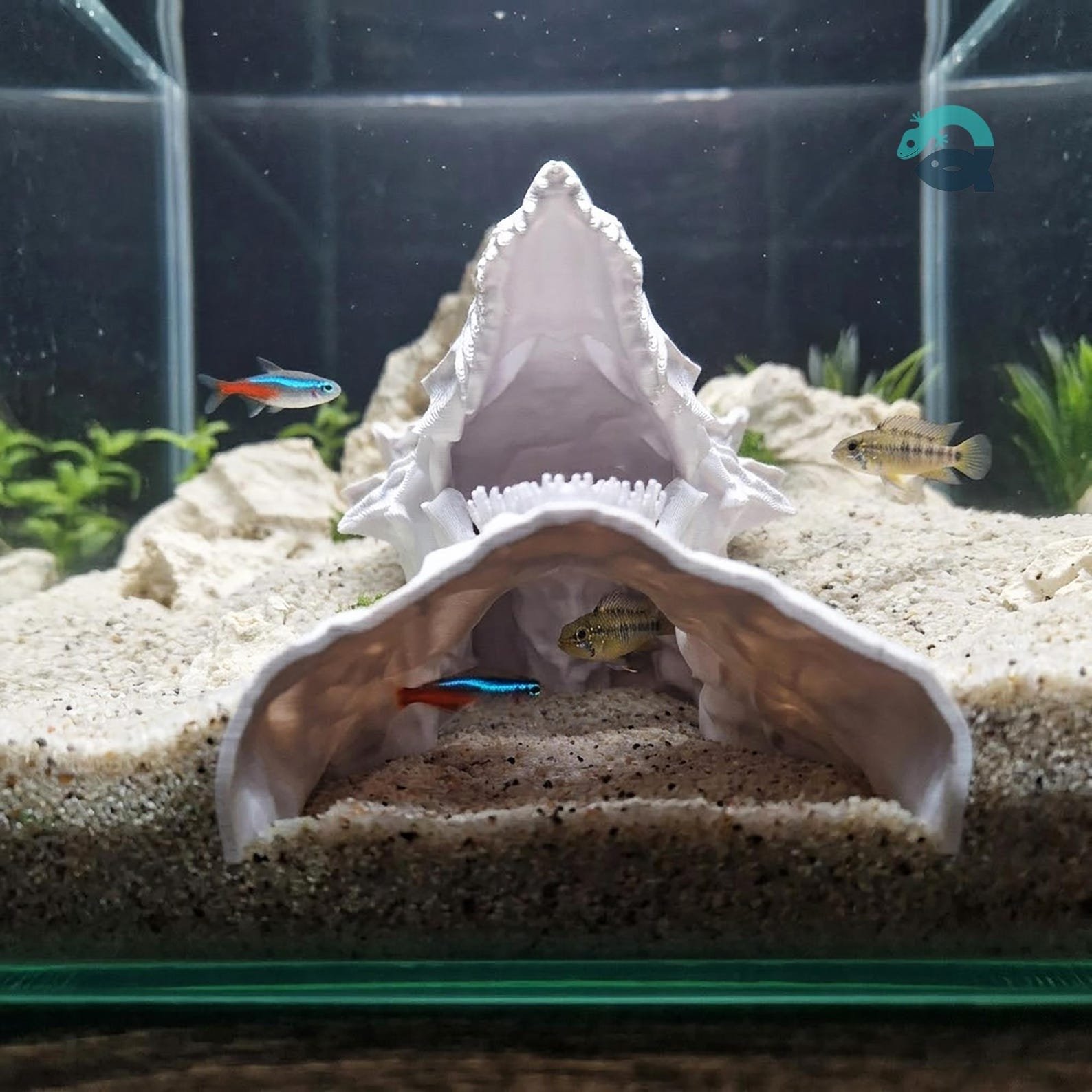Dragon Cliff - Dragon Skull Aquarium Cave, Fantasy Reptile Hideout, Gothic Aquascape Decor, Vivarium Shelter | 3D Printable STL File - Image 2