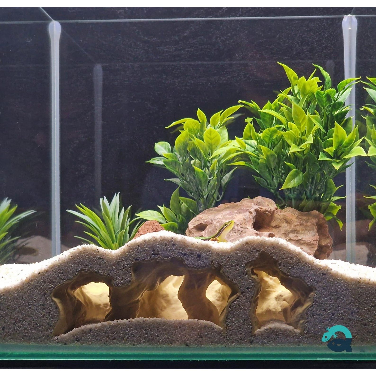 Abyssal Grotto - Aquarium & Terrarium decor cave | Critter underground hide | Fish, shrimp, reptile pet house | 3D Printable STL - Image 3