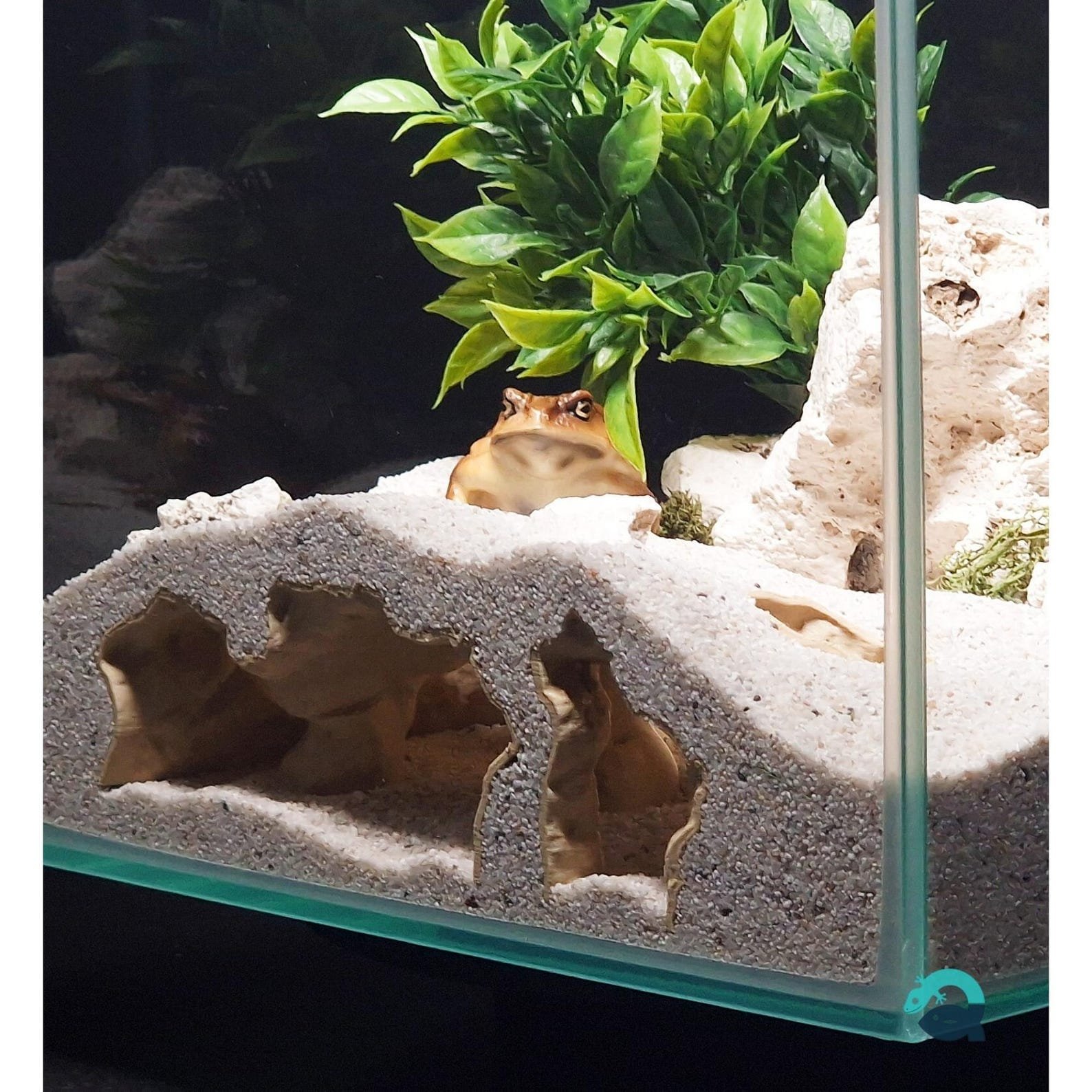 Abyssal Grotto - Aquarium & Terrarium decor cave | Critter underground hide | Fish, shrimp, reptile pet house | 3D Printable STL - Image 4