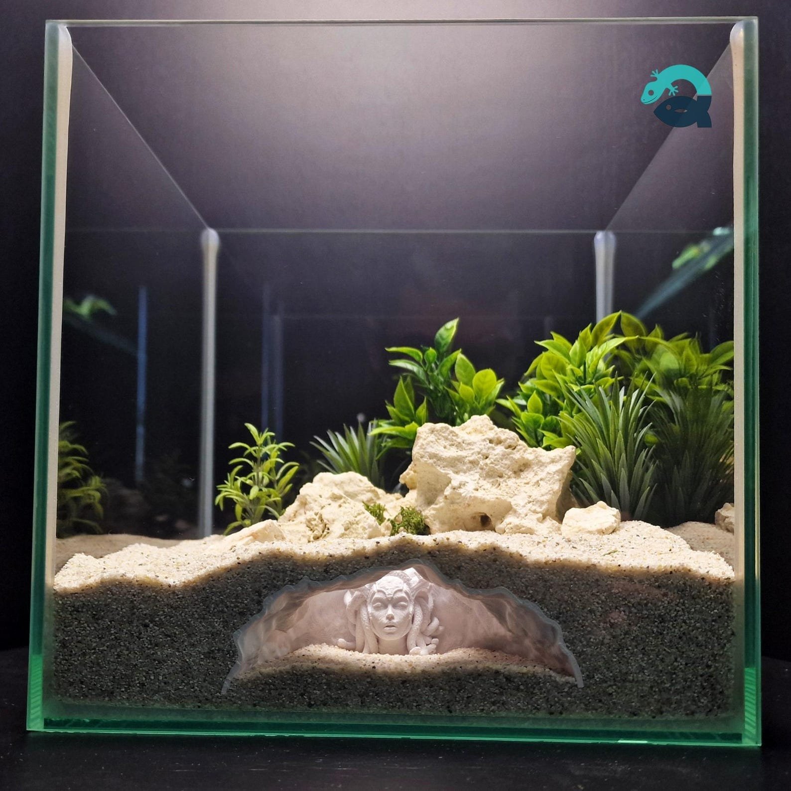 Medusa's Lair - Aquarium & Terrarium decor cave | Critter underground hide | Fish, shrimp, reptile pet house | 3D Printable STL - Image 6