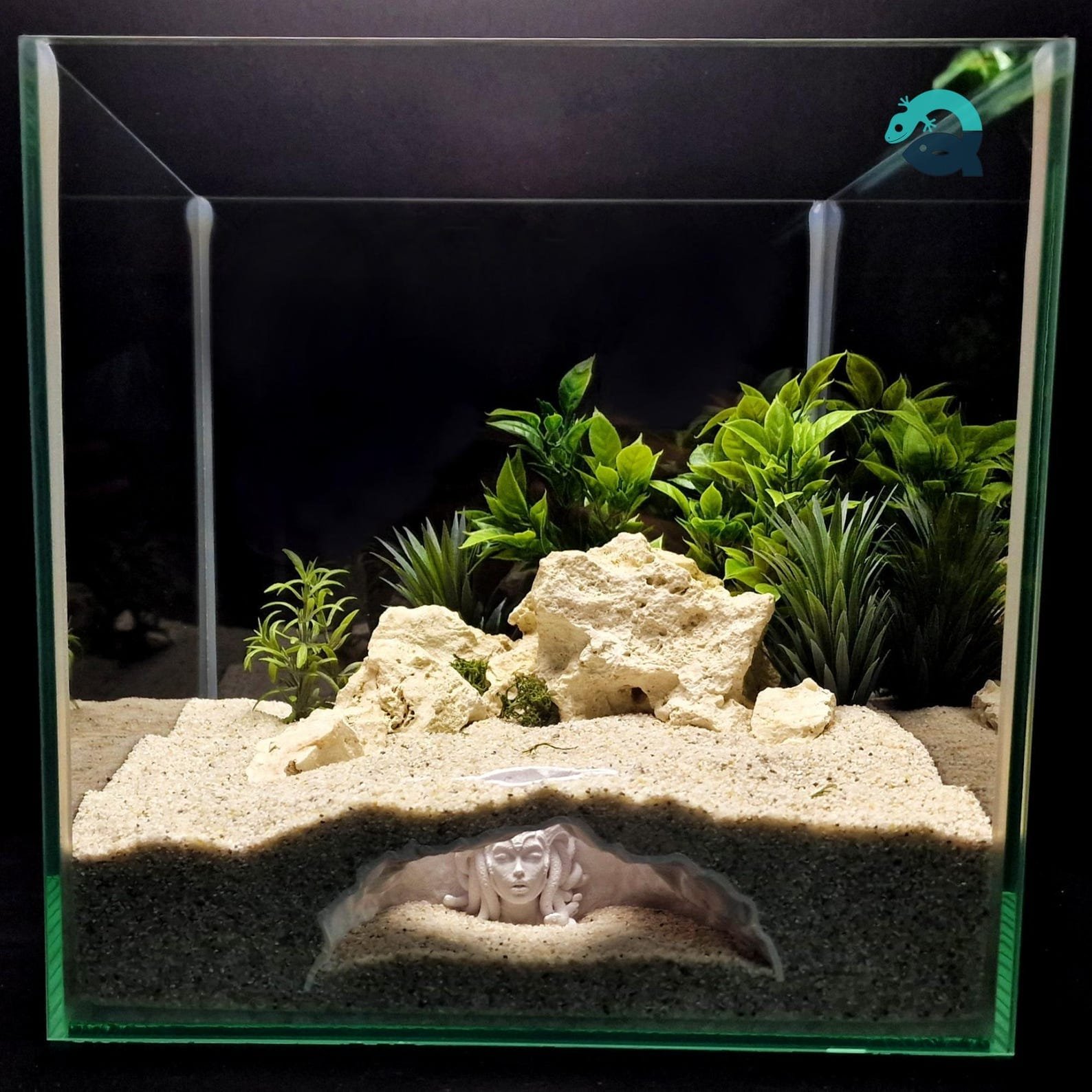 Medusa's Lair - Aquarium & Terrarium decor cave | Critter underground hide | Fish, shrimp, reptile pet house | 3D Printable STL - Image 2