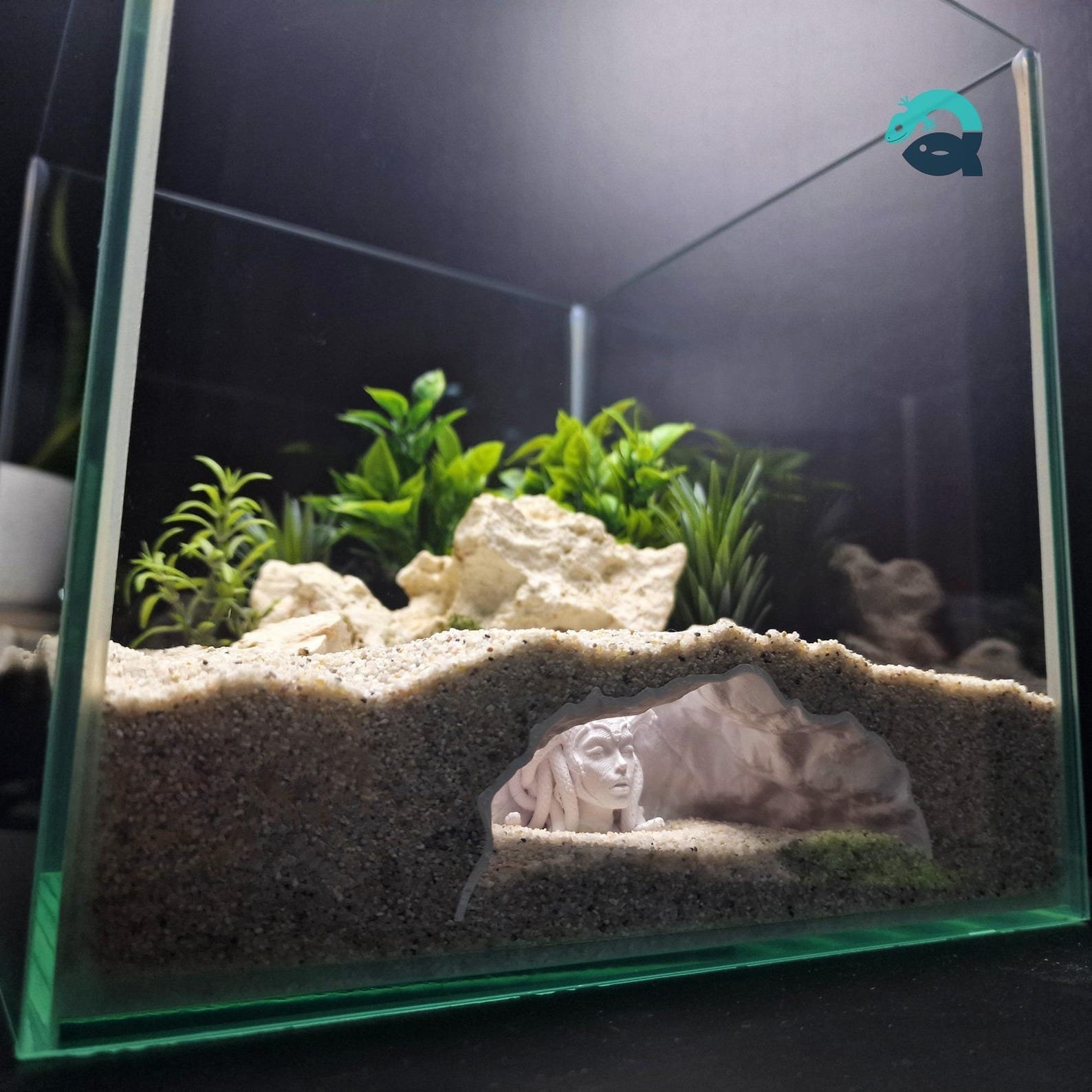 Medusa's Lair - Aquarium & Terrarium decor cave | Critter underground hide | Fish, shrimp, reptile pet house | 3D Printable STL - Image 4