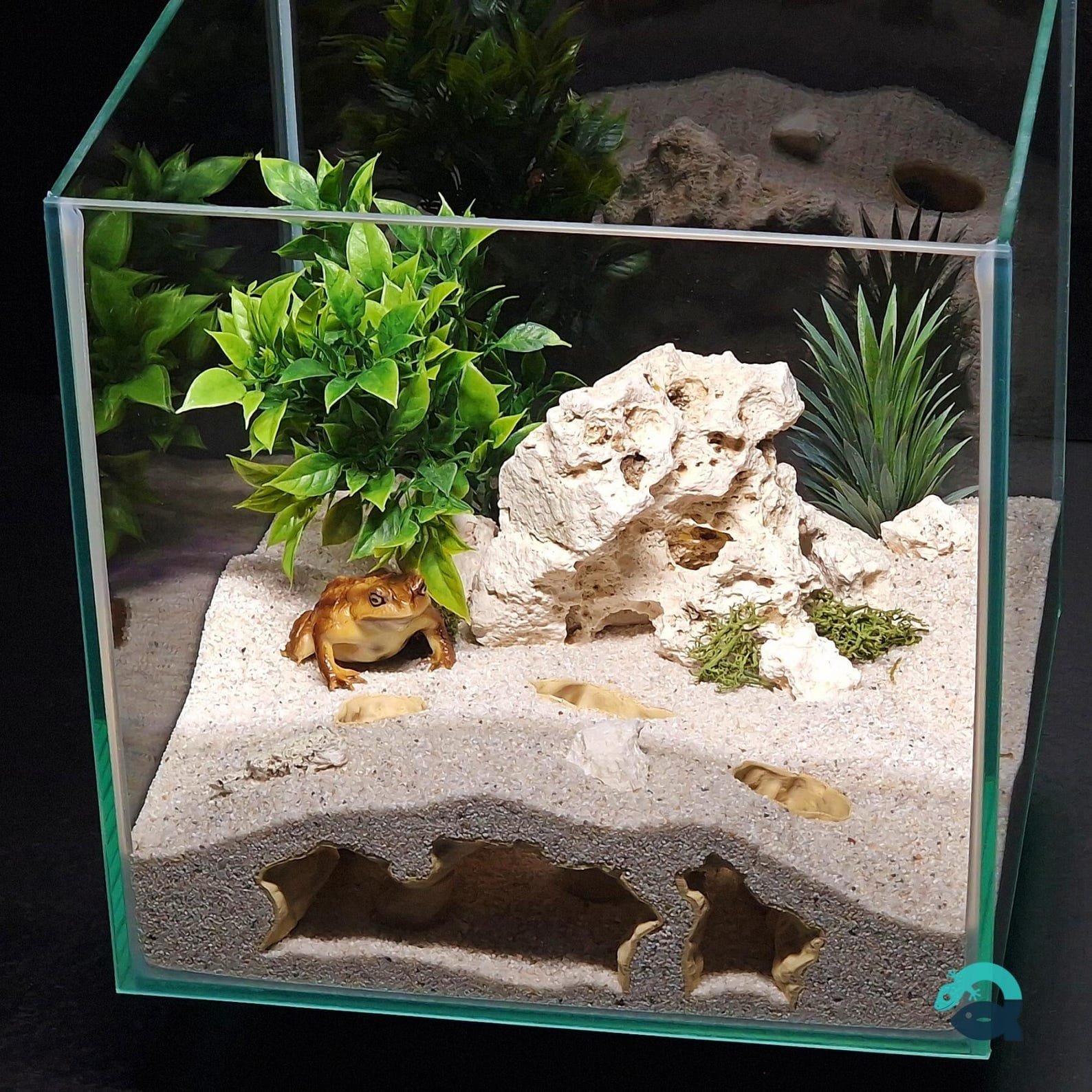 Abyssal Grotto - Aquarium & Terrarium decor cave | Critter underground hide | Fish, shrimp, reptile pet house | 3D Printable STL - Image 6