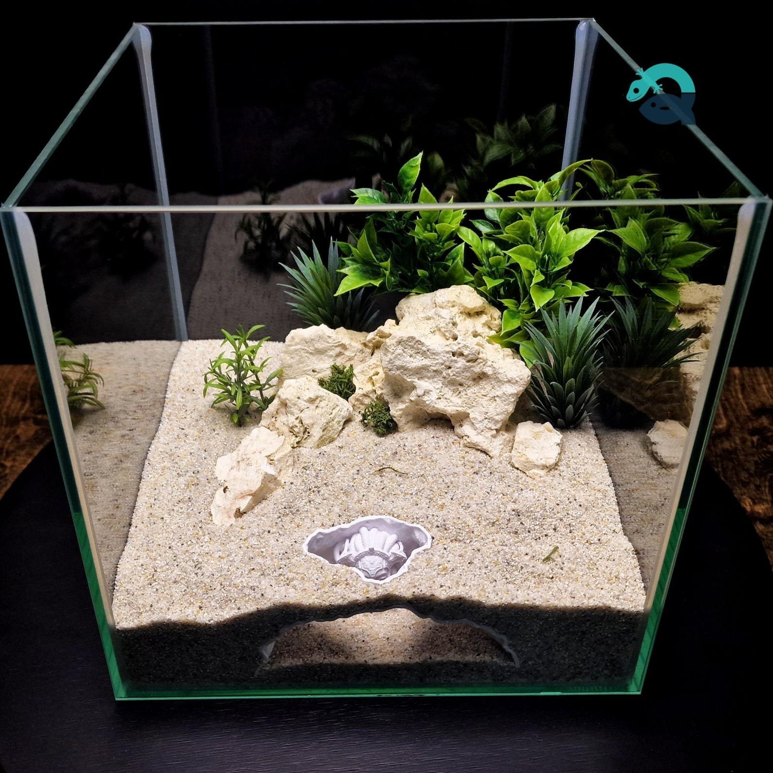 Medusa's Lair - Aquarium & Terrarium decor cave | Critter underground hide | Fish, shrimp, reptile pet house | 3D Printable STL - Image 3