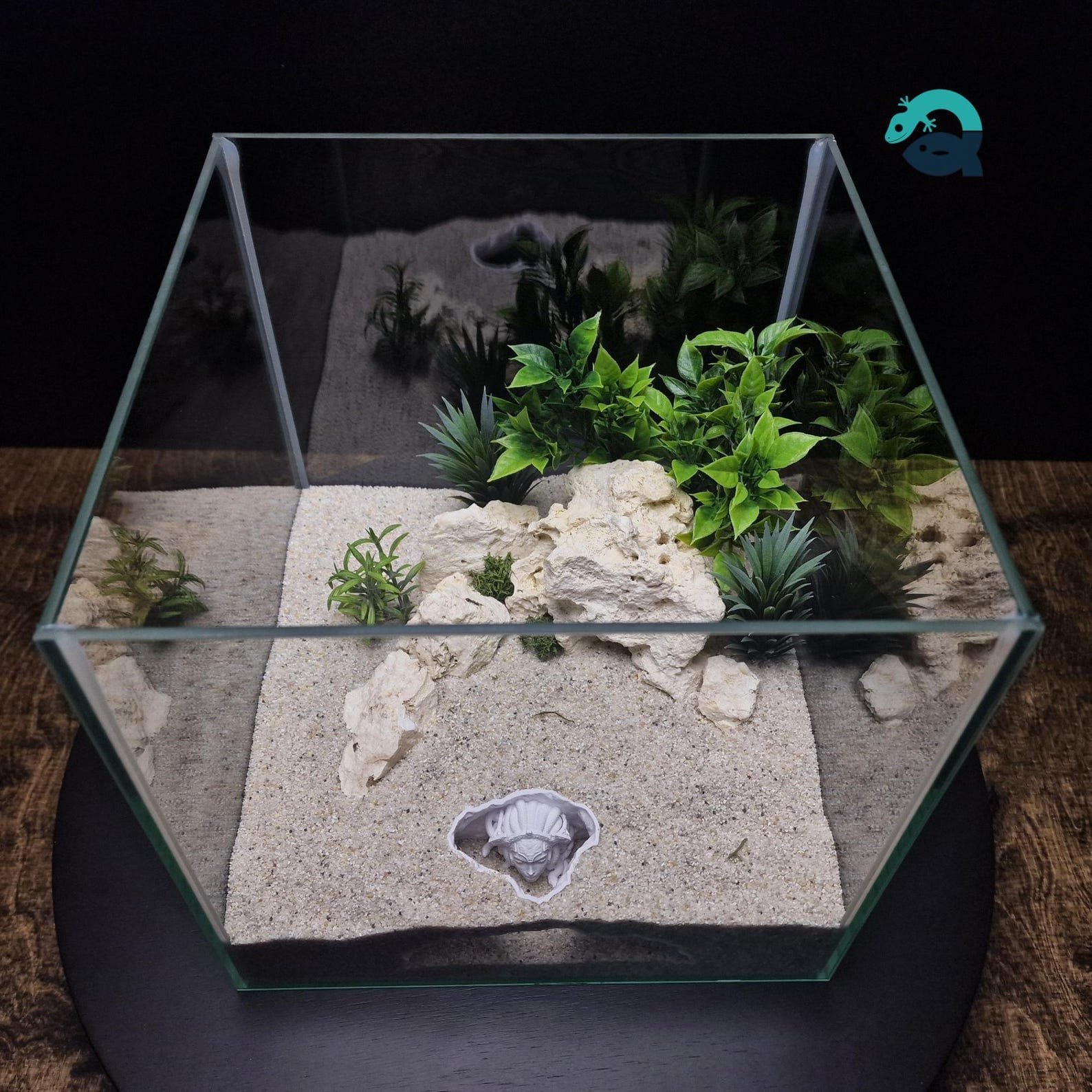 Medusa's Lair - Aquarium & Terrarium decor cave | Critter underground hide | Fish, shrimp, reptile pet house | 3D Printable STL - Image 5