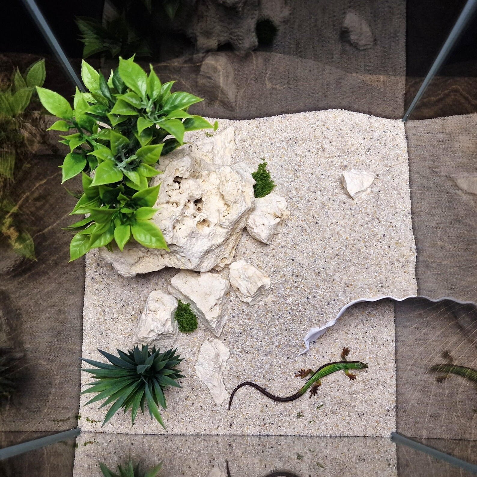 Cliff Hollow Cave - Aquarium & Terrarium decor cave | Critter underground hide | Fish, shrimp, reptile pet house | 3D Printable STL - Image 6