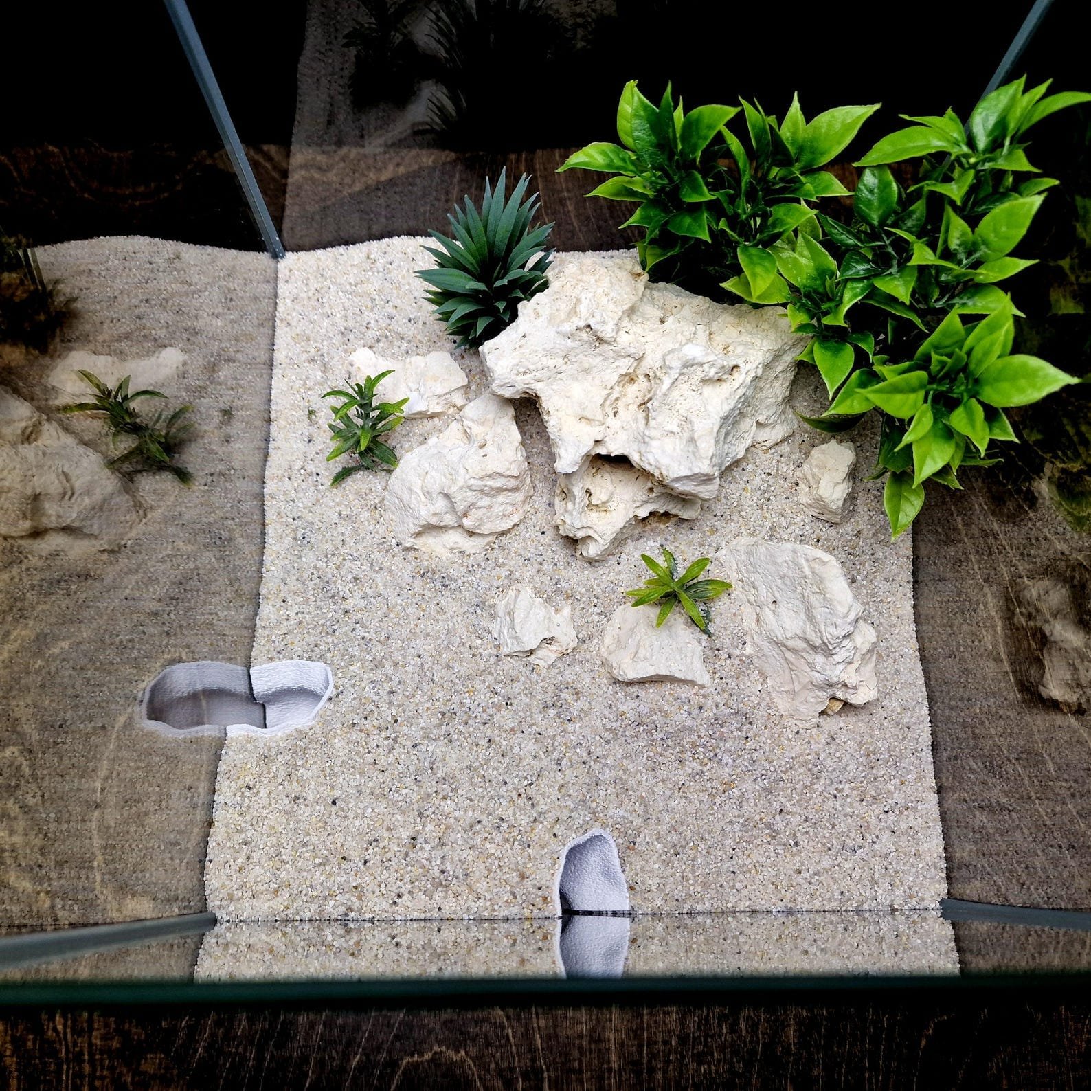 Aqua Nest - Aquarium & Terrarium decor cave | Critter underground hide | Fish, shrimp, reptile pets house | 3D Printable STL - Image 3