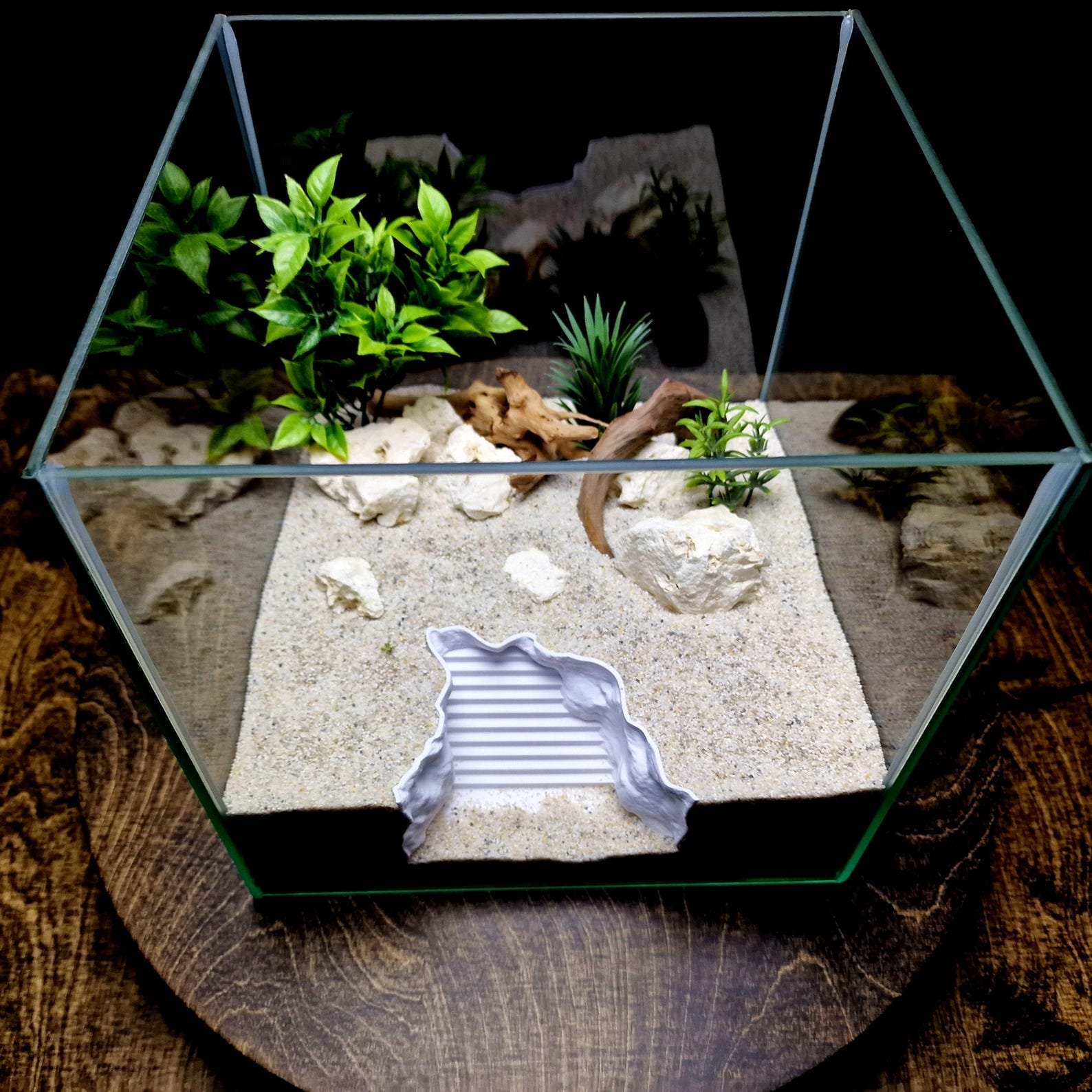 Seaside Stairway - Aquarium & Terrarium decor cave | Critter underground hide | Fish, shrimp, reptile pets house | 3D Printable STL - Image 6
