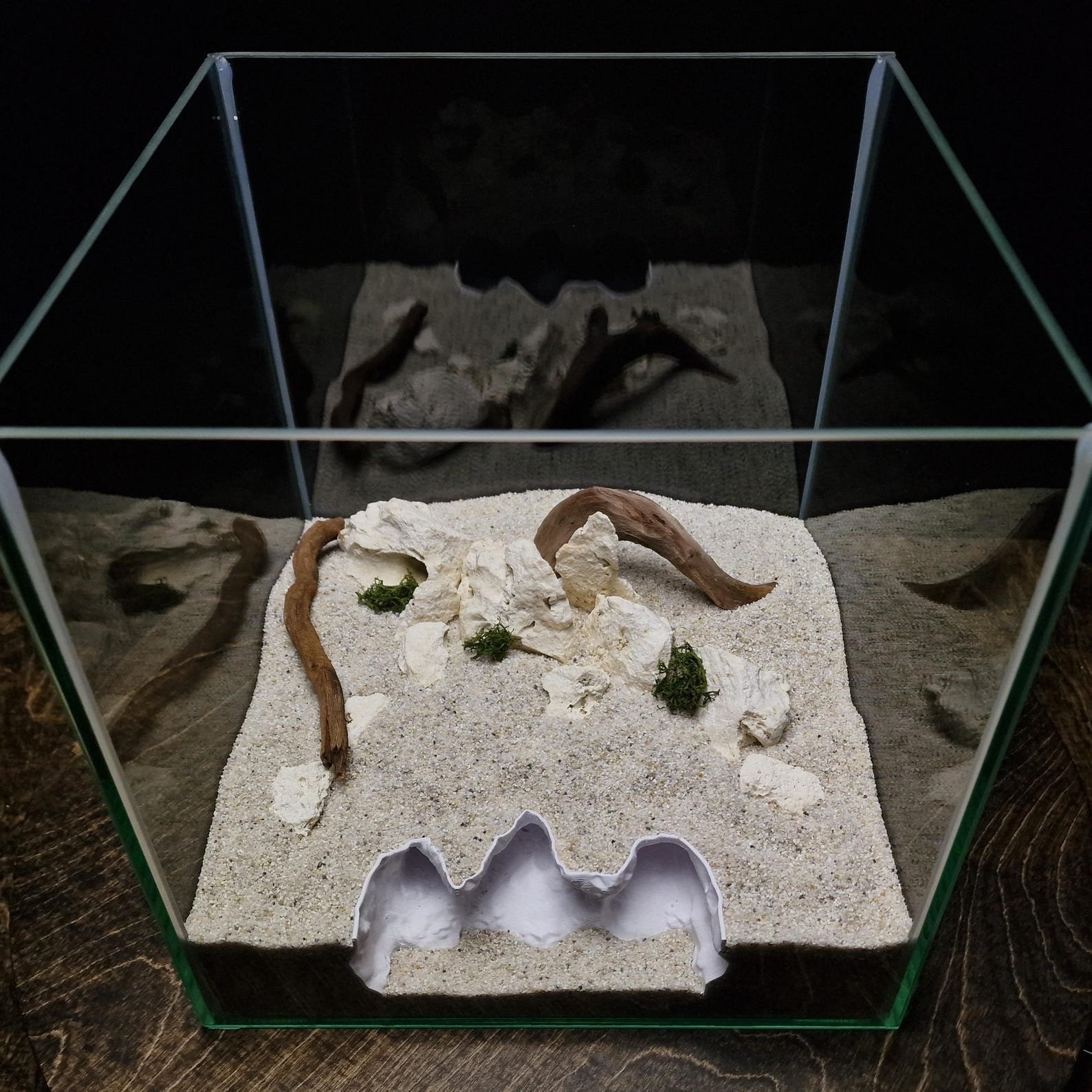 Saltwater Canyon - Aquarium & Terrarium decor cave | Critter underground hide | Fish, shrimp, reptile pets house | 3D Printable STL - Image 2
