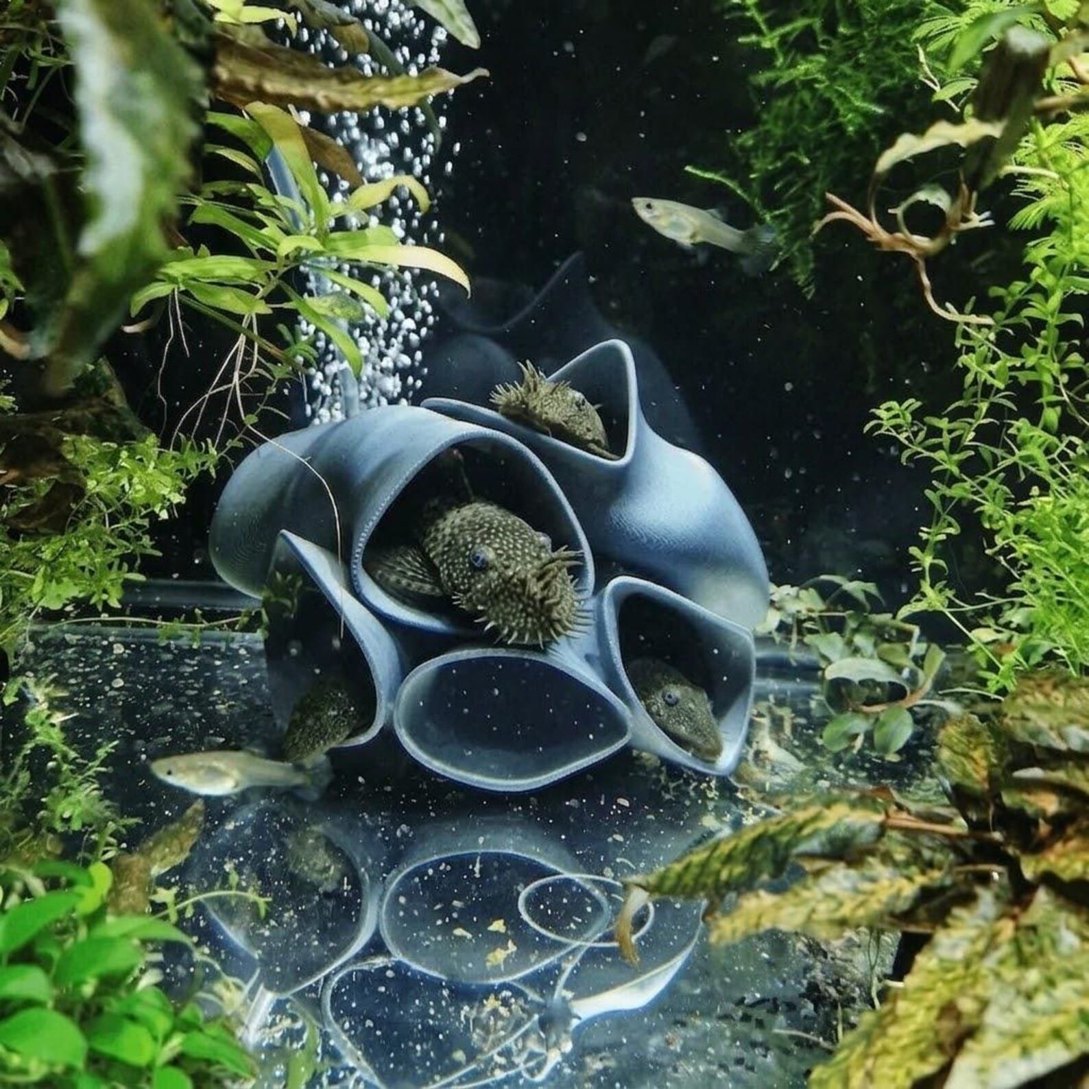 Pleco Hotel - Aquarium & Terrarium decor cave | Critter underground hide | Fish, shrimp, reptile pet house | 3D Printable STL - Image 3