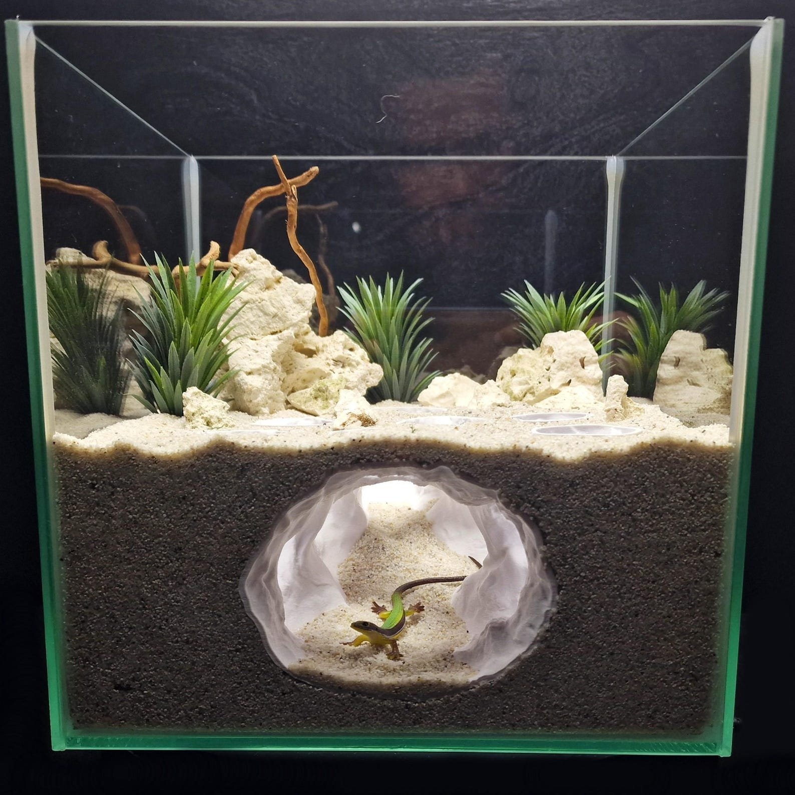 Kelpveil Cave - Aquarium & Terrarium decor cave | Critter underground hide | Fish, shrimp, reptile pet house | 3D Printable STL - Image 4