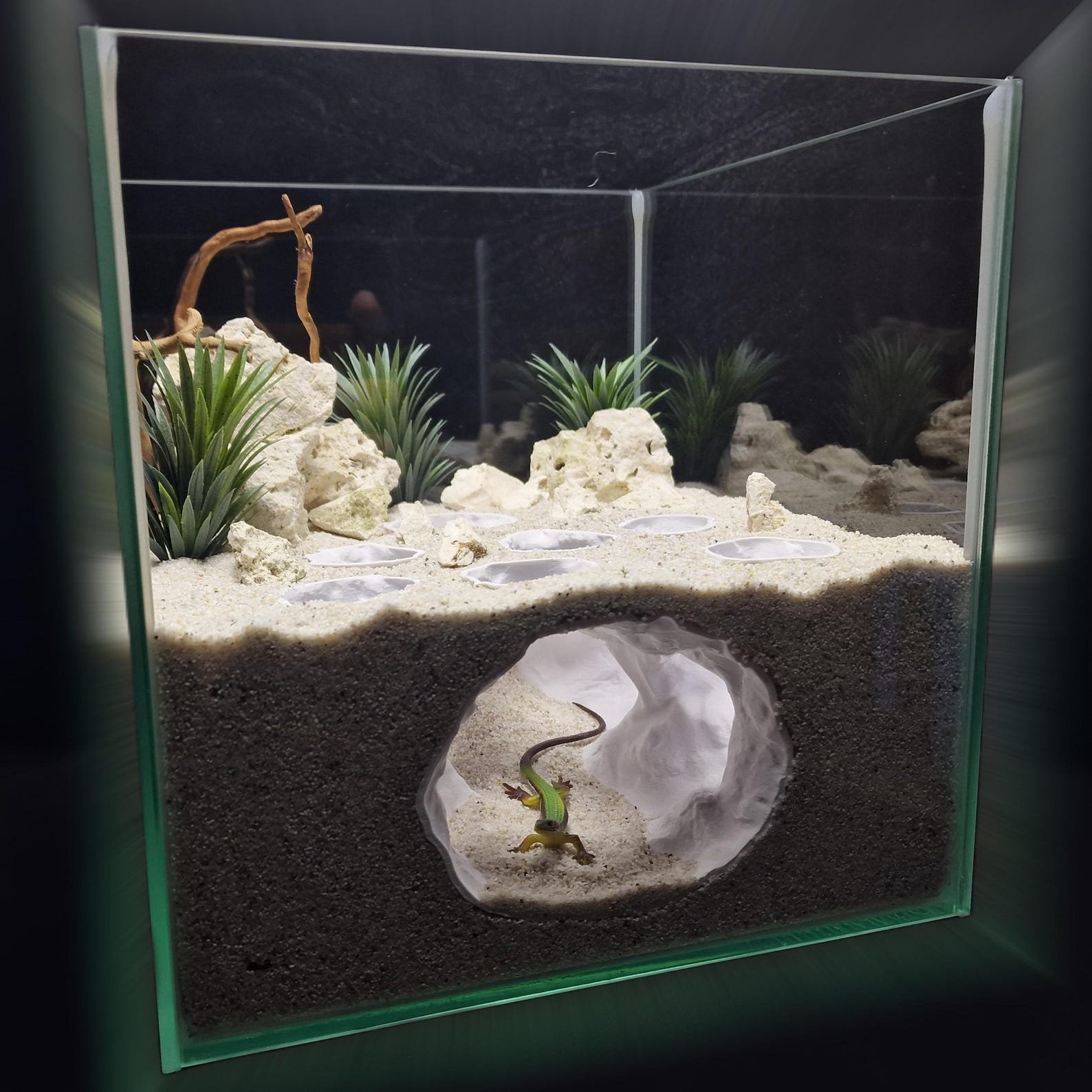 Kelpveil Cave - Aquarium & Terrarium decor cave | Critter underground hide | Fish, shrimp, reptile pet house | 3D Printable STL - Image 6