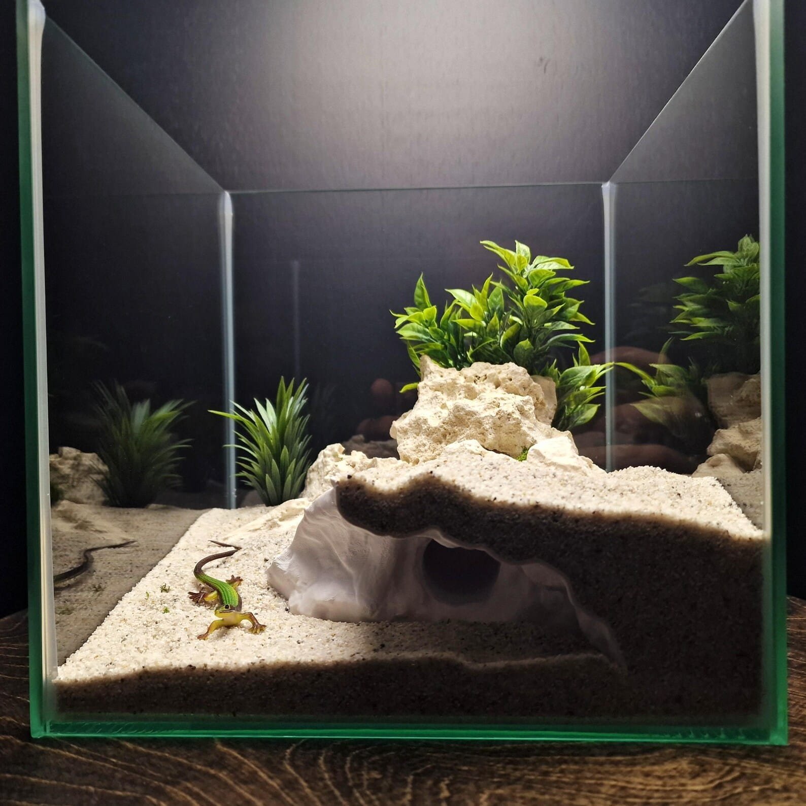 Cliff Hollow Cave - Aquarium & Terrarium decor cave | Critter underground hide | Fish, shrimp, reptile pet house | 3D Printable STL - Image 2
