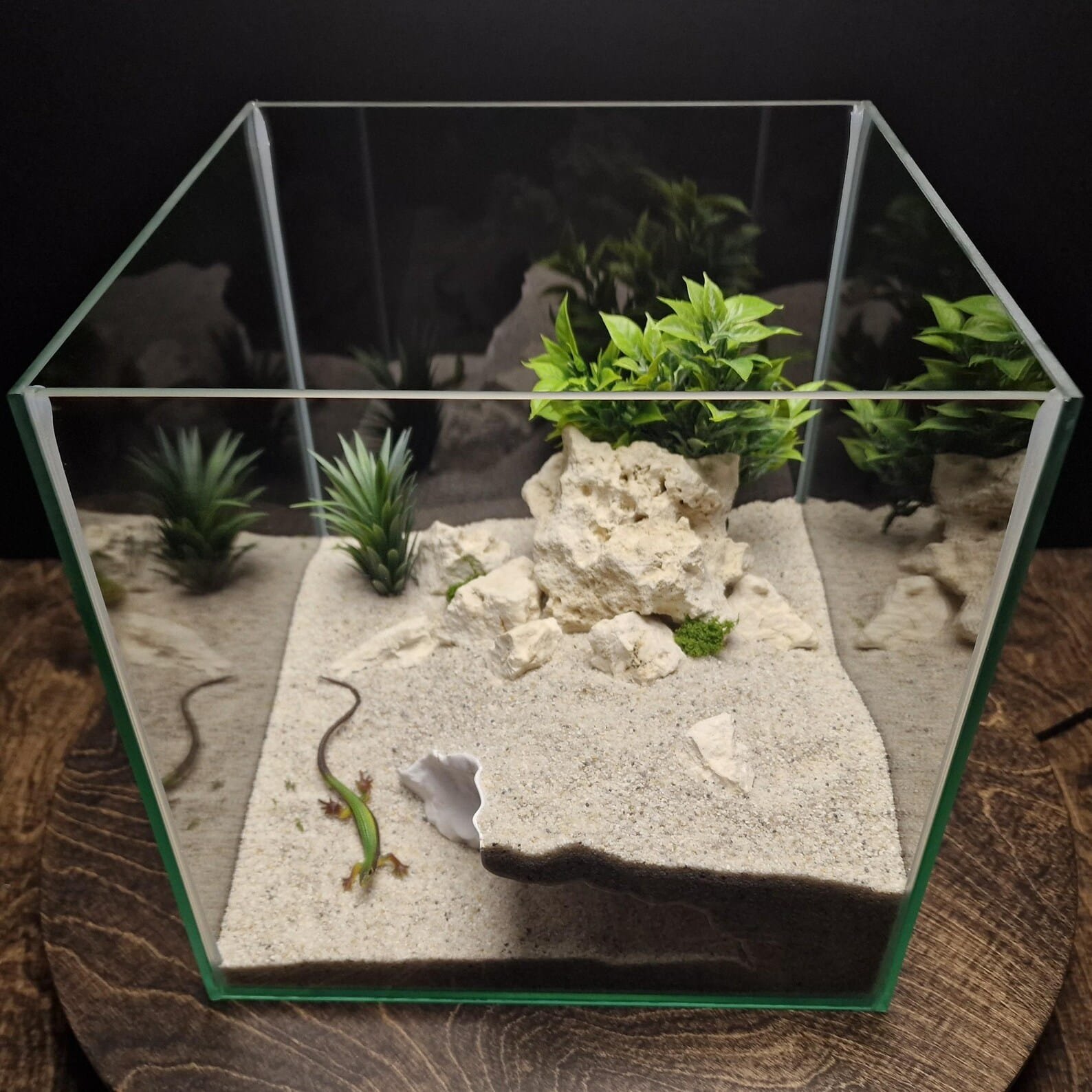 Cliff Hollow Cave - Aquarium & Terrarium decor cave | Critter underground hide | Fish, shrimp, reptile pet house | 3D Printable STL - Image 3