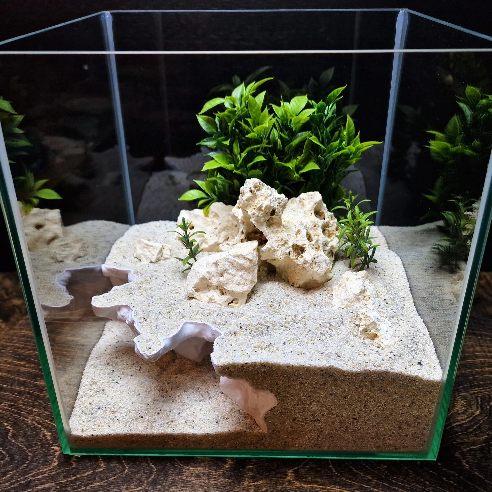 AquaVault - Aquarium & Terrarium decor cave | Critter underground hide | Fish, shrimp, reptile pets house | 3D Printable STL - Image 5