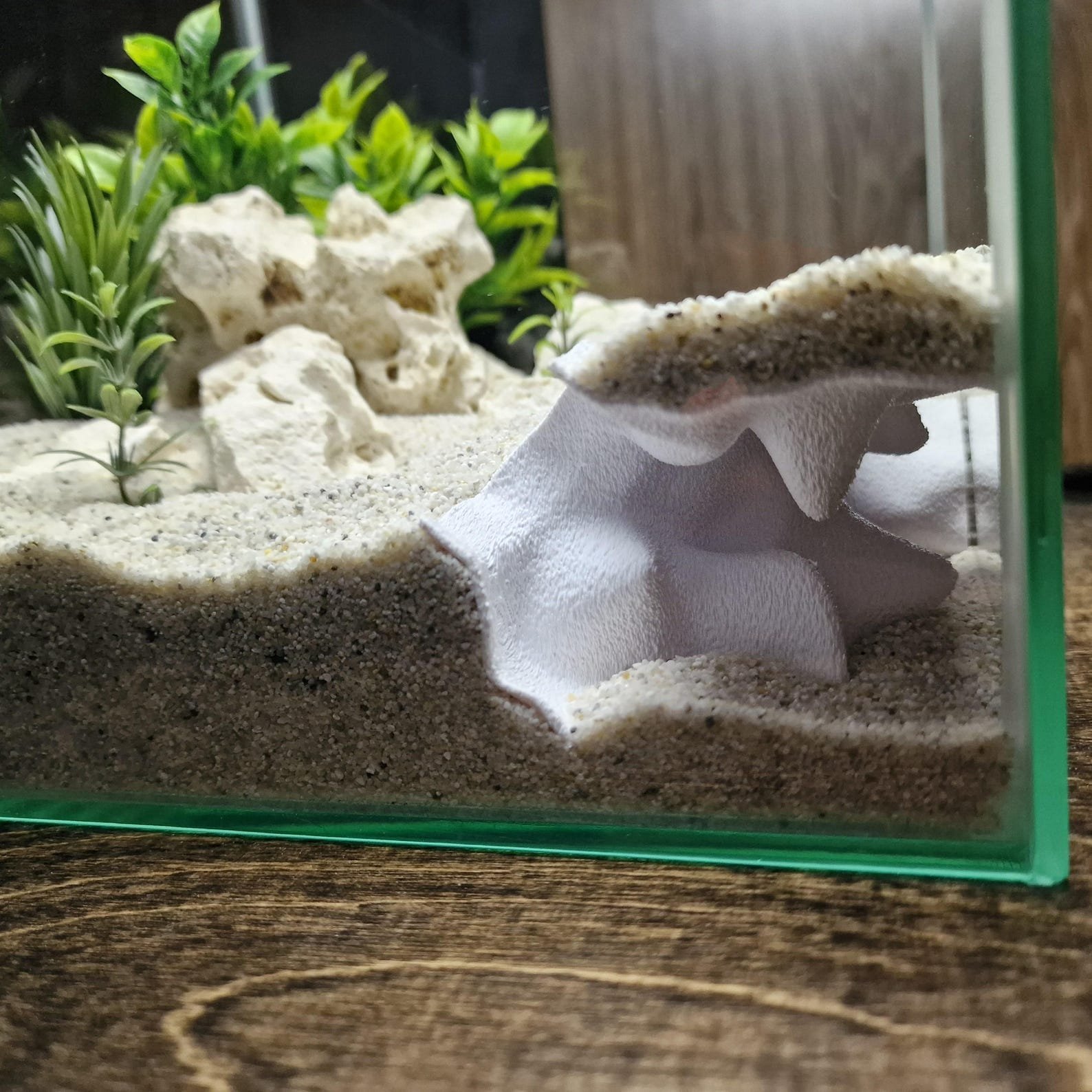 Aqua Nest - Aquarium & Terrarium decor cave | Critter underground hide | Fish, shrimp, reptile pets house | 3D Printable STL - Image 5
