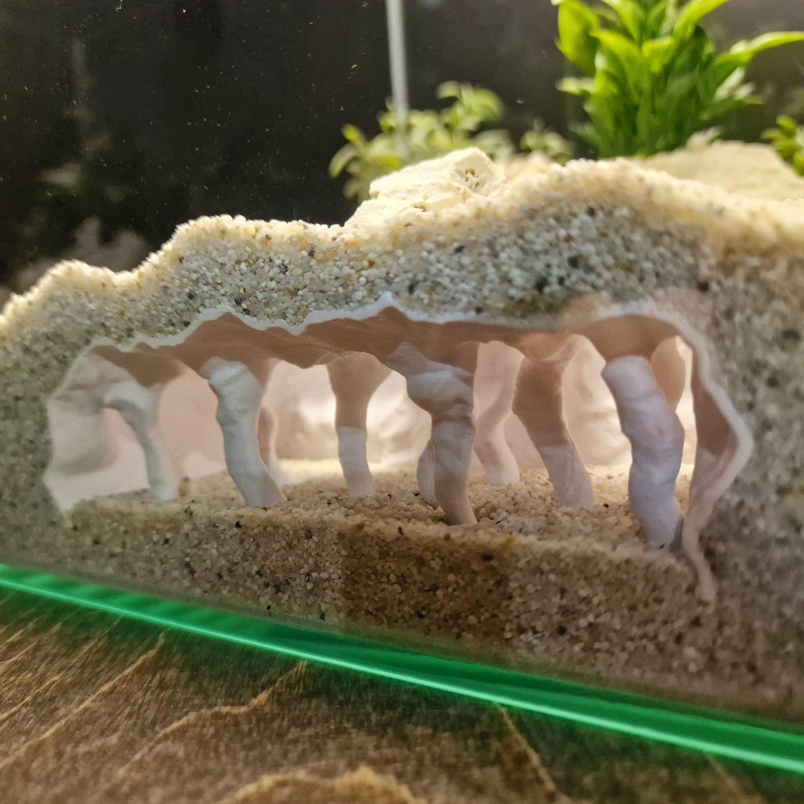 Coral Chamber - Aquarium & Terrarium decor cave | Critter underground hide | Fish, shrimp, reptile pets house | 3D Printable STL - Image 2