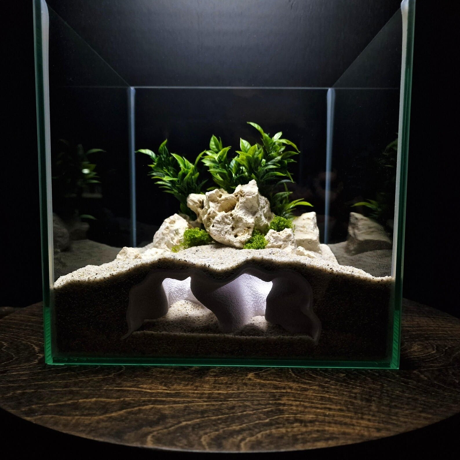 Marine Retreat - Aquarium & Terrarium decor cave | Critter underground hide | Fish, shrimp, reptile pets house | 3D Printable STL - Image 3
