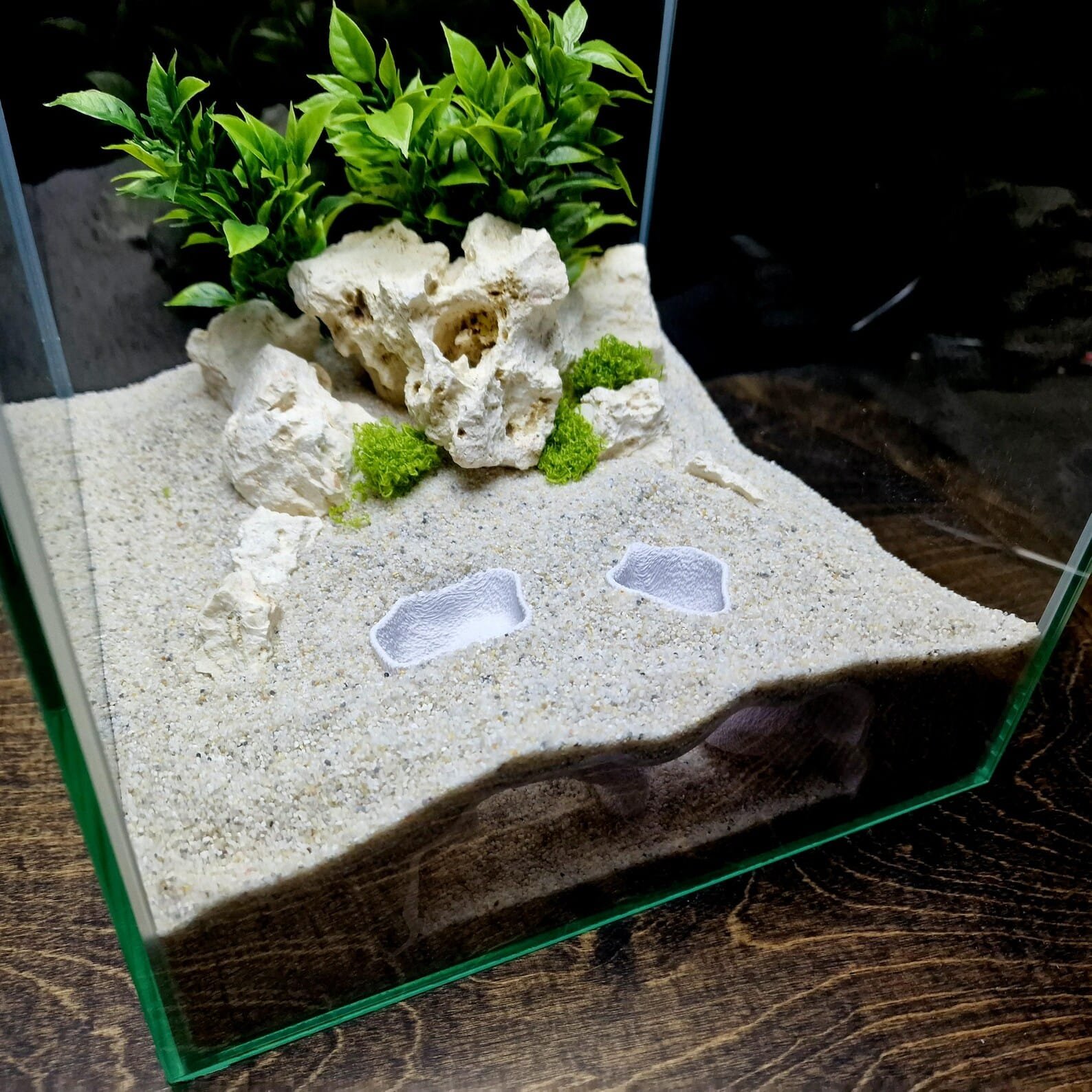 Marine Retreat - Aquarium & Terrarium decor cave | Critter underground hide | Fish, shrimp, reptile pets house | 3D Printable STL - Image 4