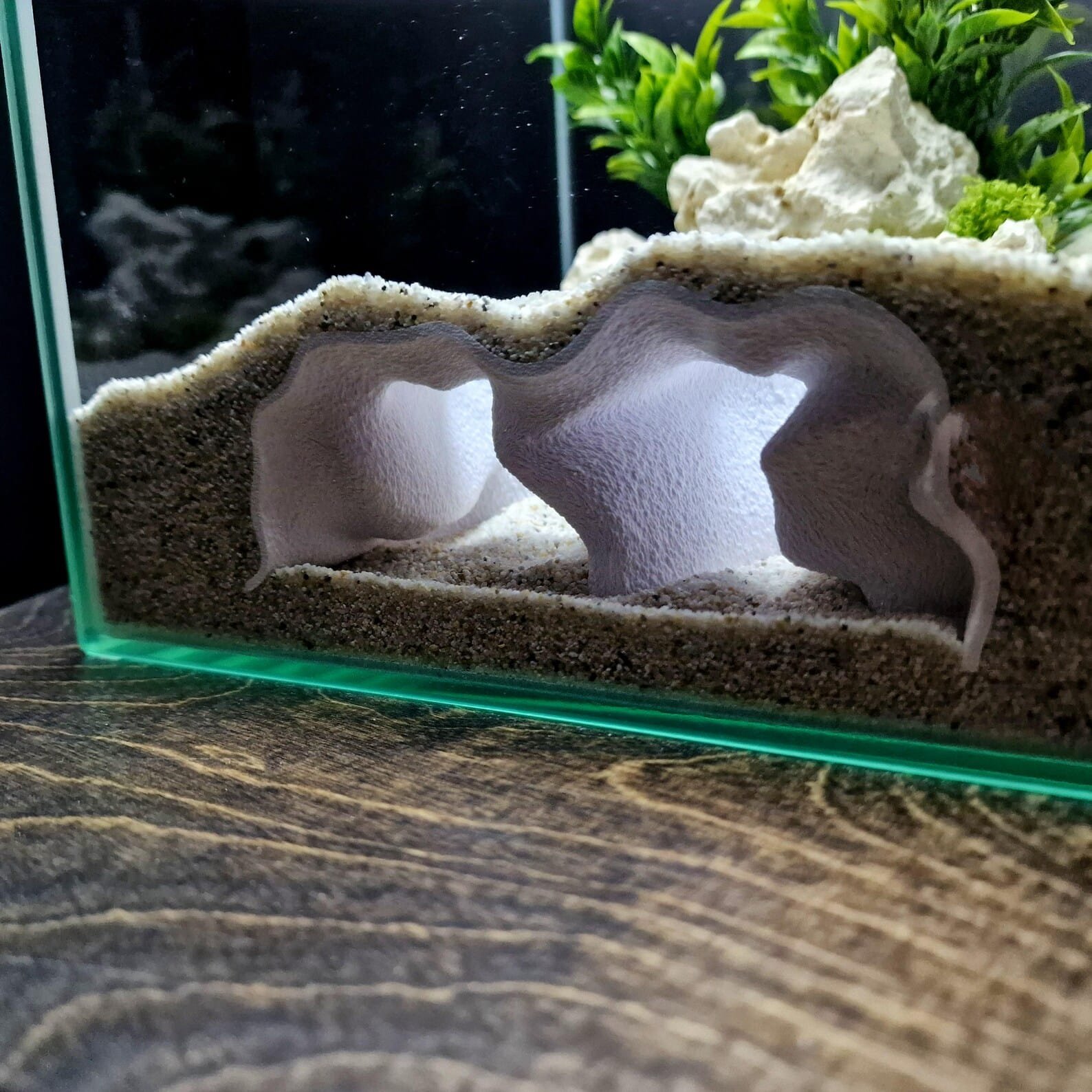 Marine Retreat - Aquarium & Terrarium decor cave | Critter underground hide | Fish, shrimp, reptile pets house | 3D Printable STL - Image 5