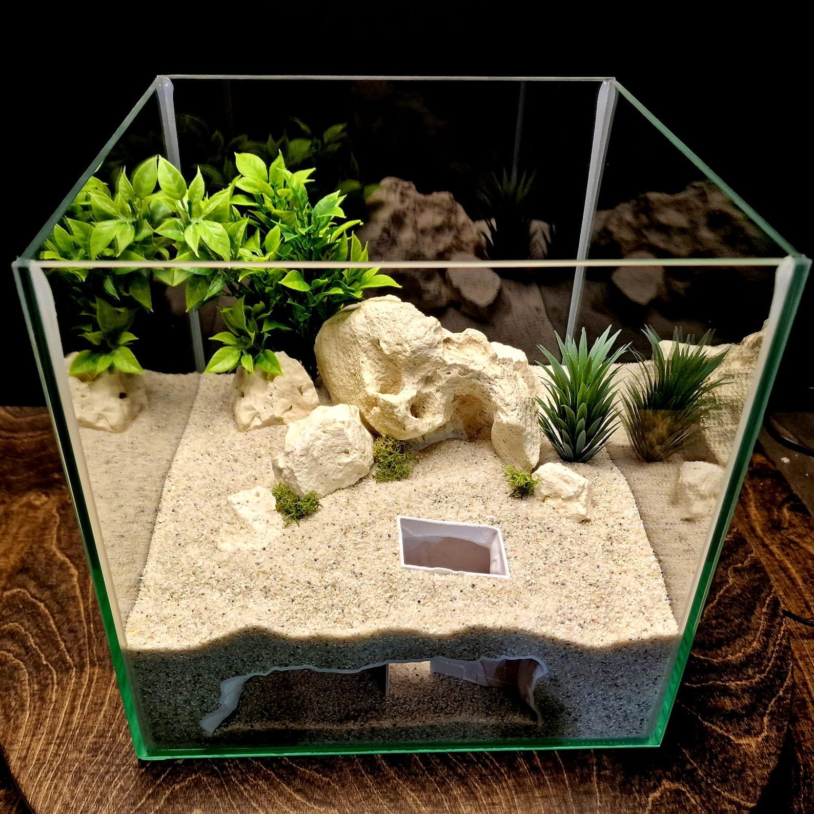 Secret House - Aquarium & Terrarium decor cave | Critter underground hide | Fish, shrimp, reptile pet house | 3D Printable STL - Image 2