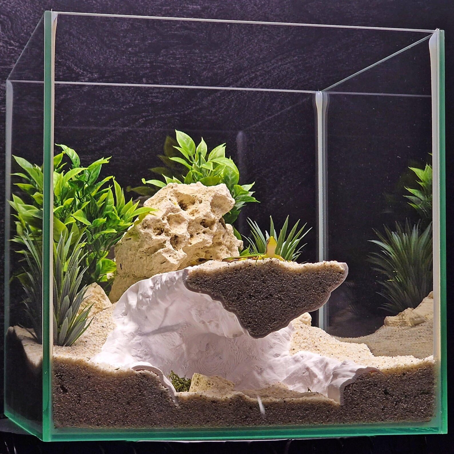 Brineflow Hollow - Aquarium & Terrarium decor cave | Critter underground hide | Fish, shrimp, reptile pet house | 3D Printable STL - Image 2