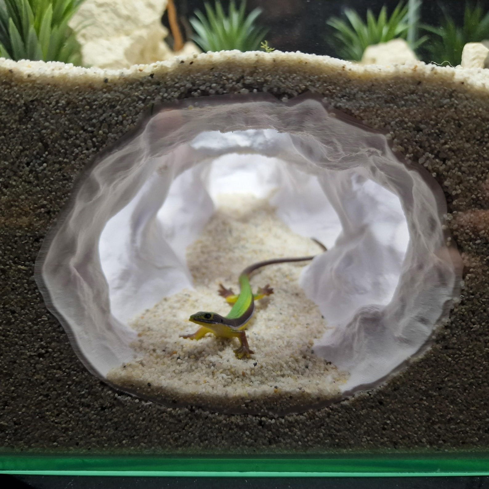 Kelpveil Cave - Aquarium & Terrarium decor cave | Critter underground hide | Fish, shrimp, reptile pet house | 3D Printable STL - Image 2