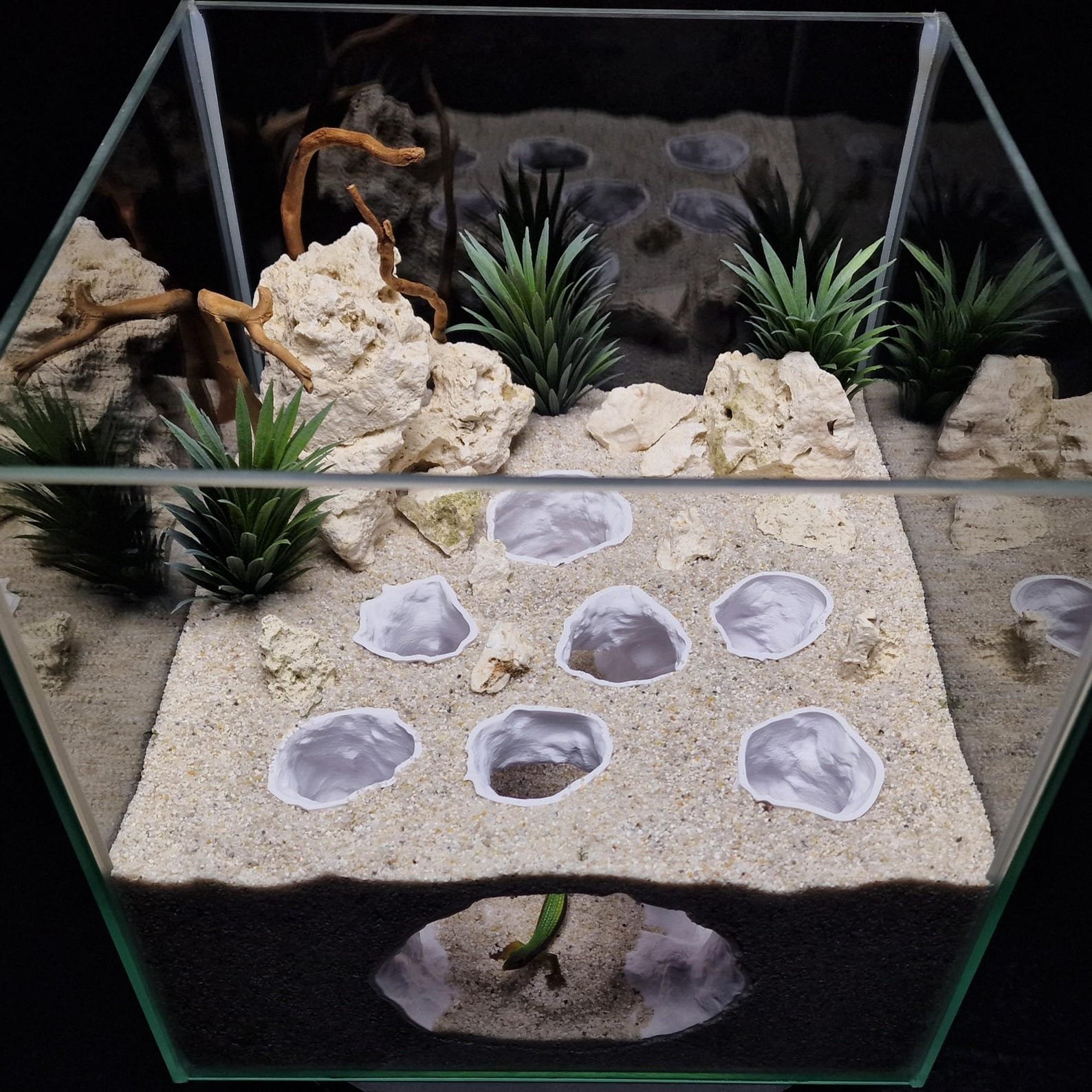 Kelpveil Cave - Aquarium & Terrarium decor cave | Critter underground hide | Fish, shrimp, reptile pet house | 3D Printable STL - Image 3