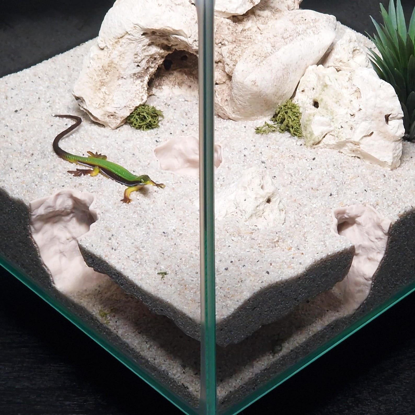 Seaborn Hollow - Aquarium & Terrarium decor cave | Critter underground hide | Fish, shrimp, reptile pet house | 3D Printable STL - Image 5